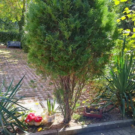 Aпартамент момина сълза * Hisarya